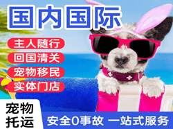 毕节飞雄空运代理国际宠物托运 【国